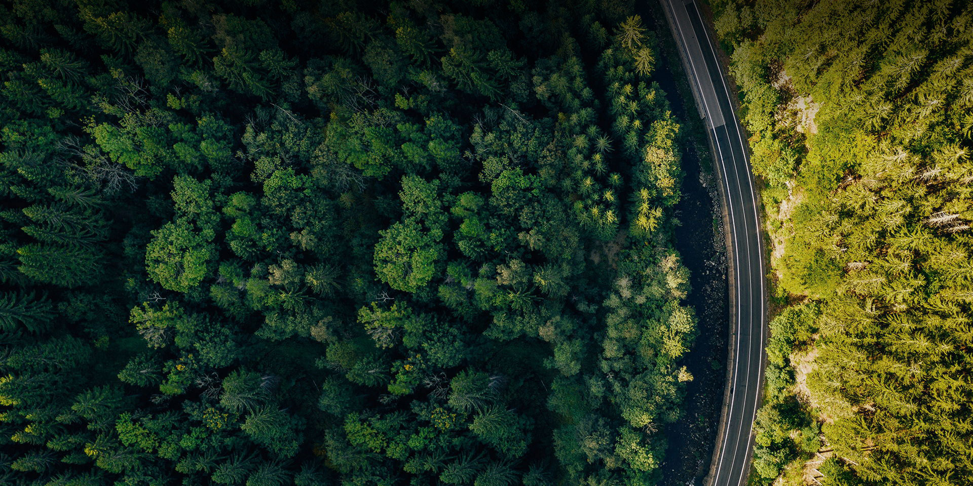 ������(�й�)�ٷ���վ